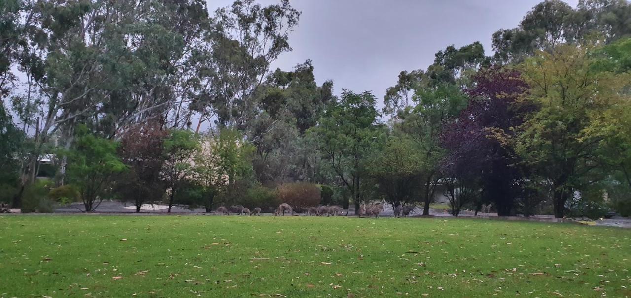 A-Line Holiday Park Bendigo Bagian luar foto